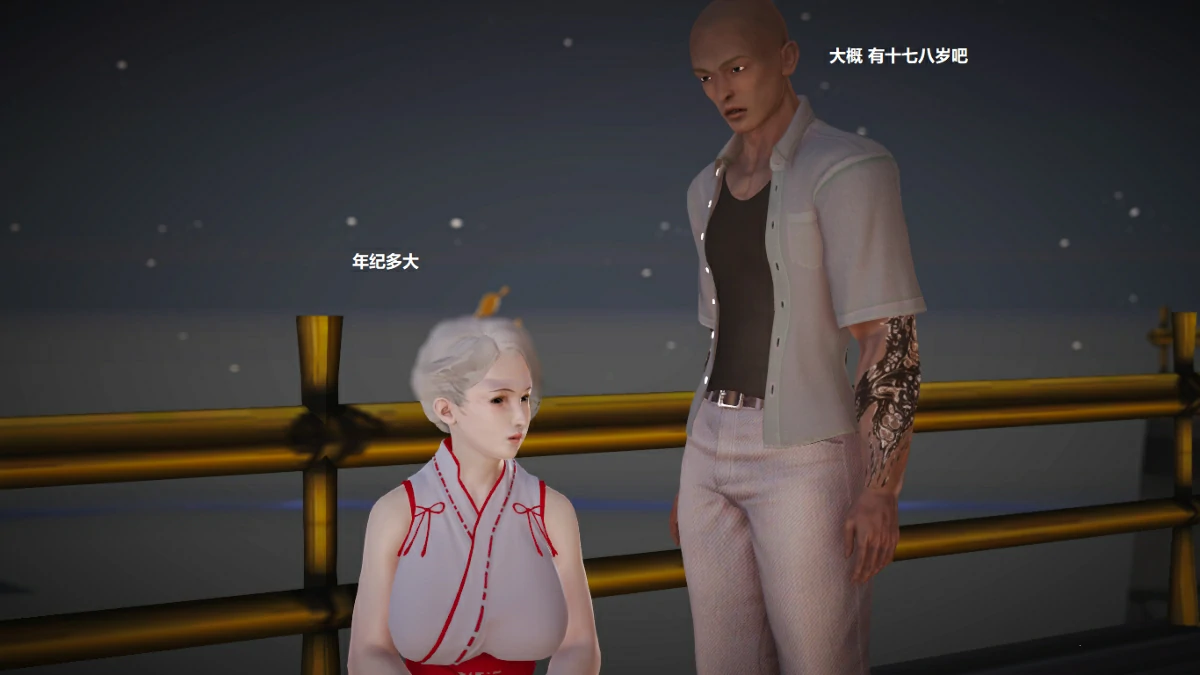 第3页