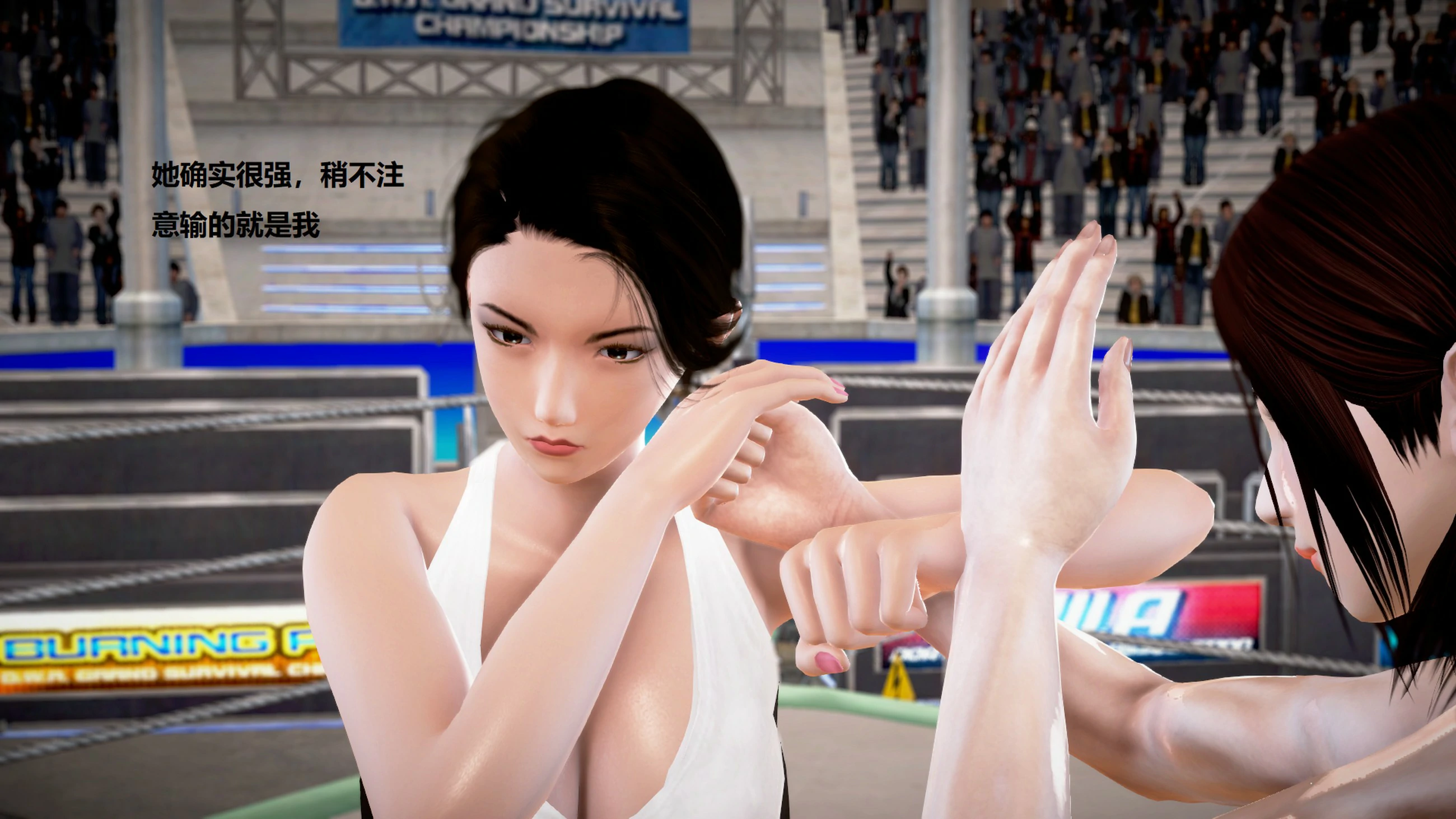第523页