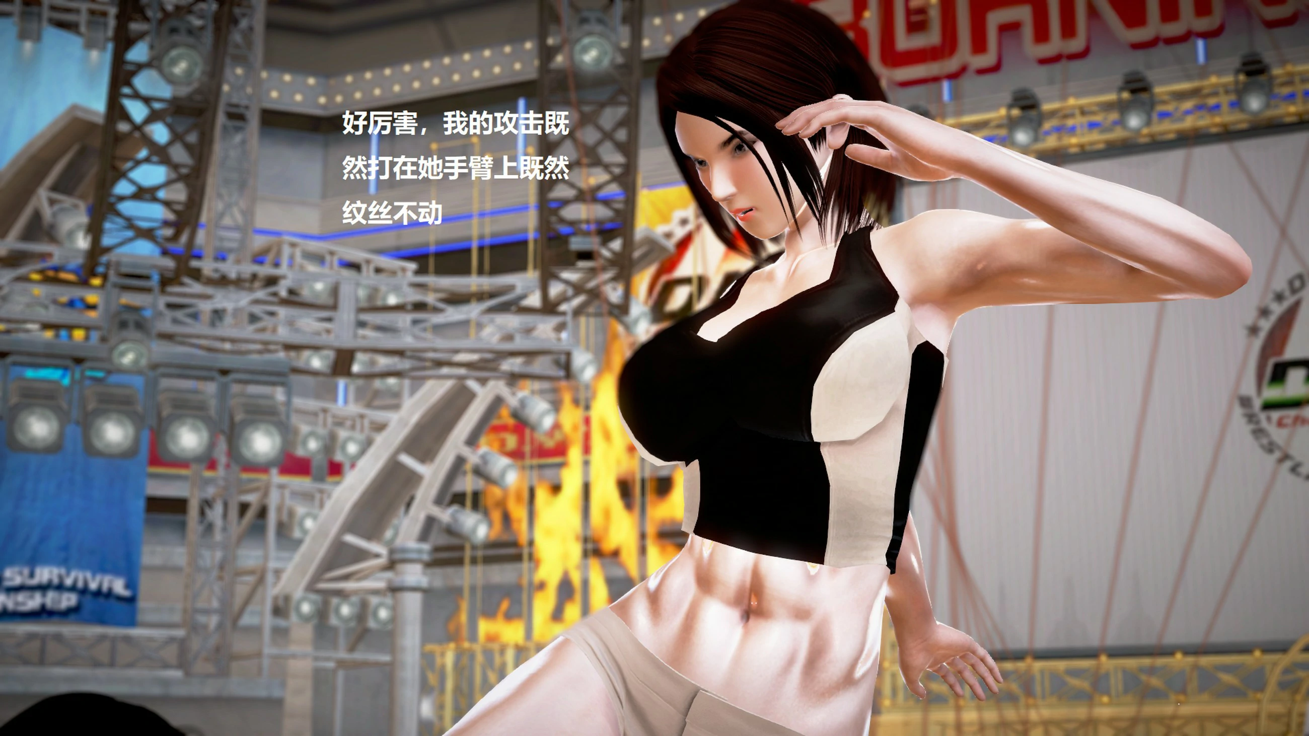 第528页