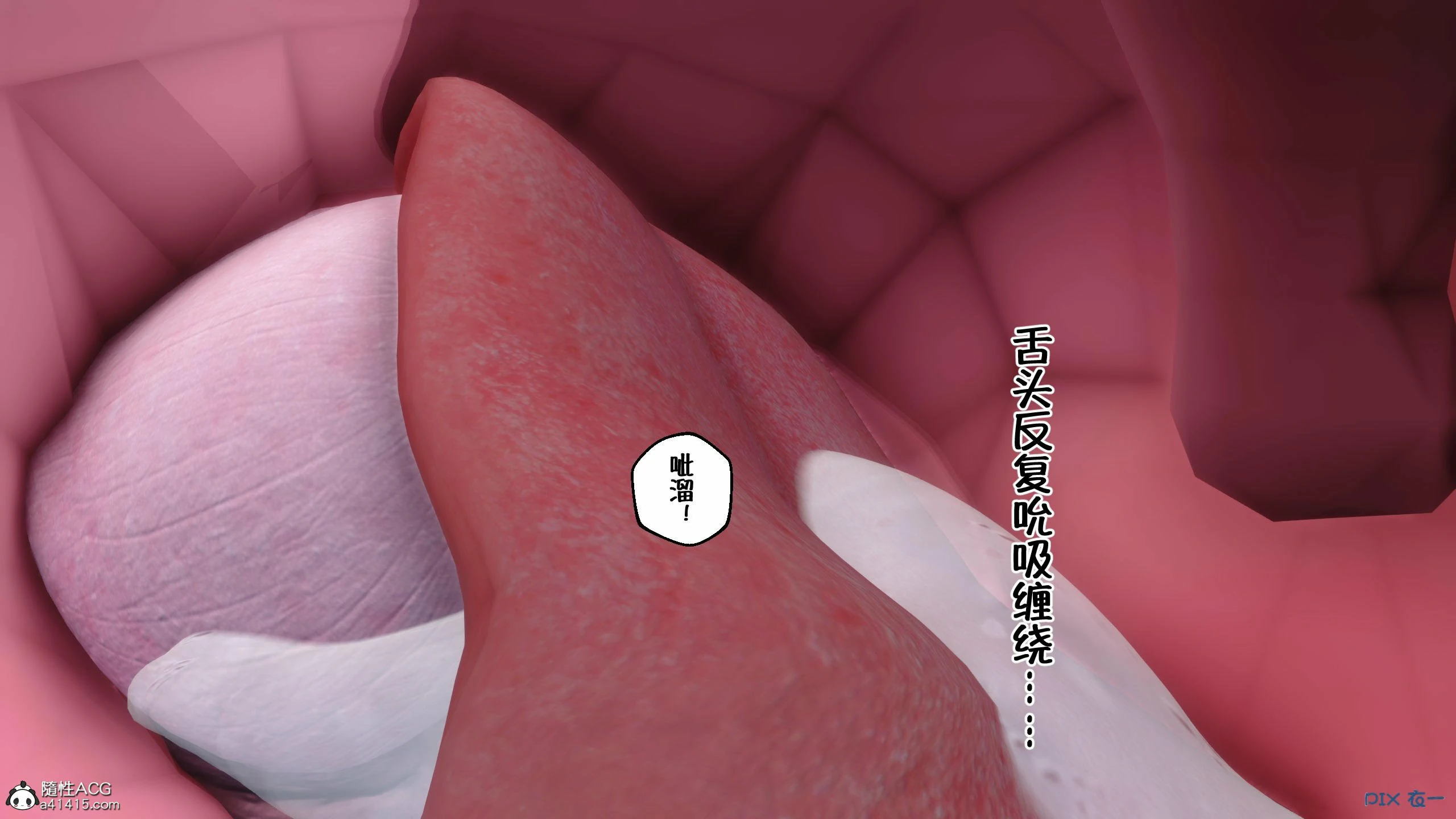 第505页