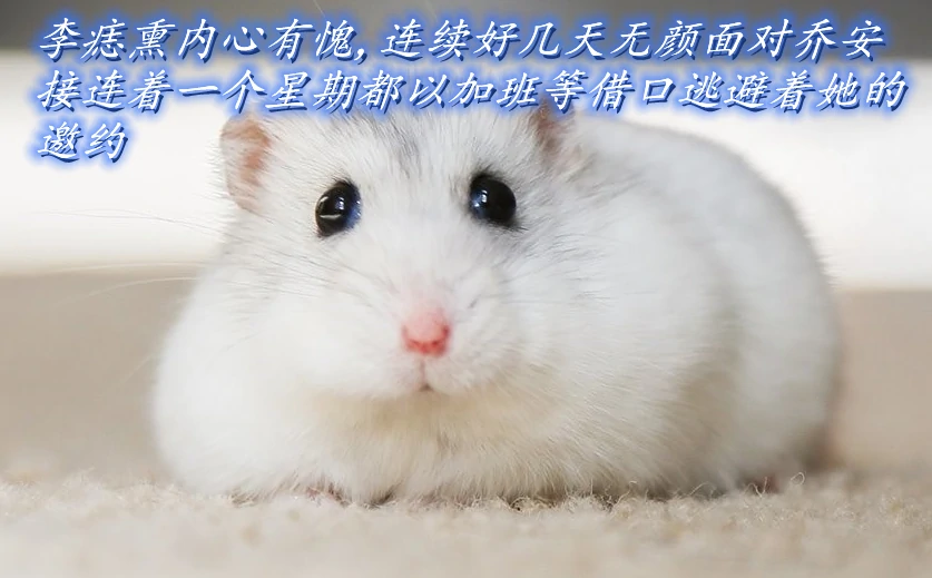 第312页
