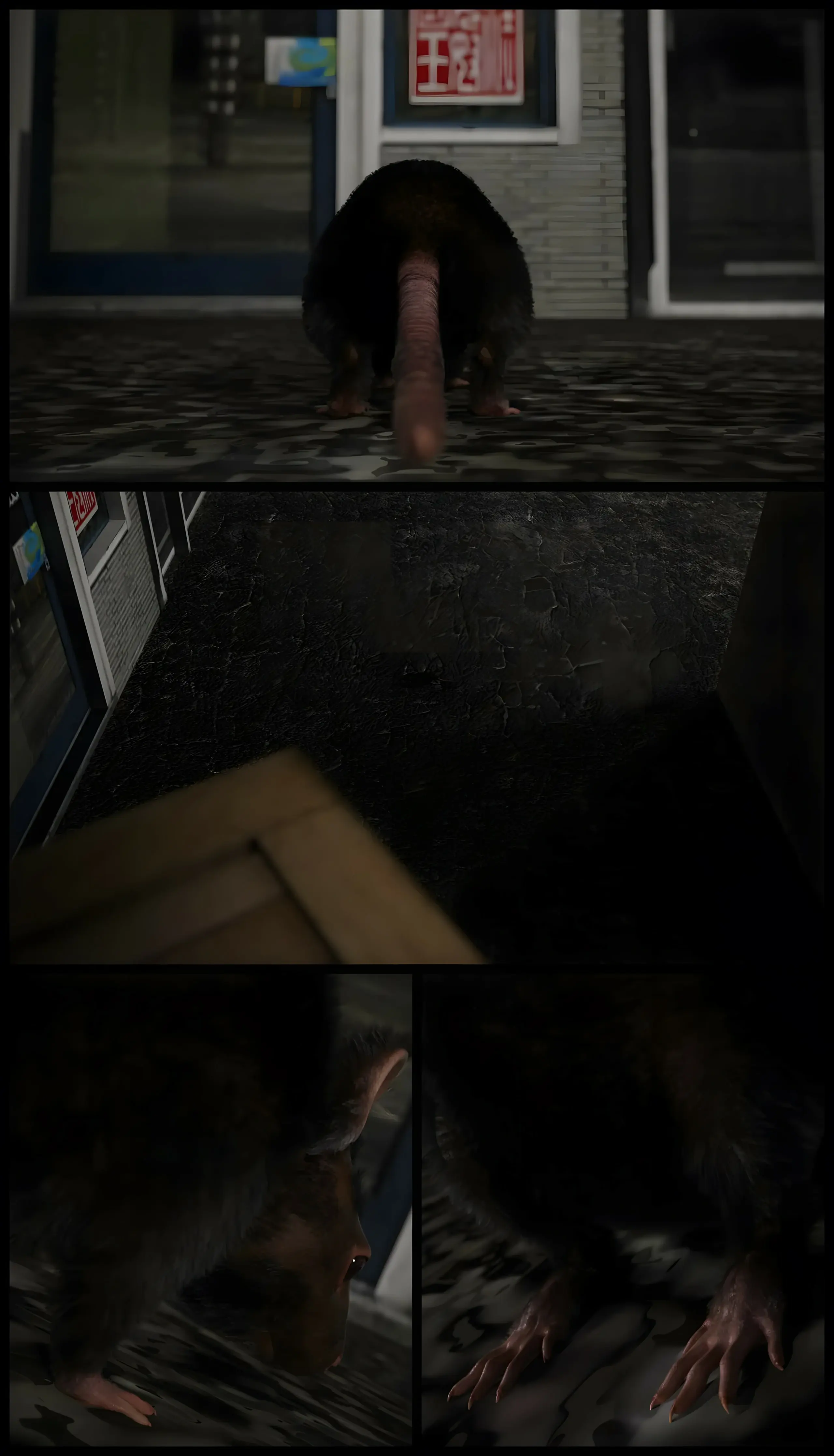 第243页