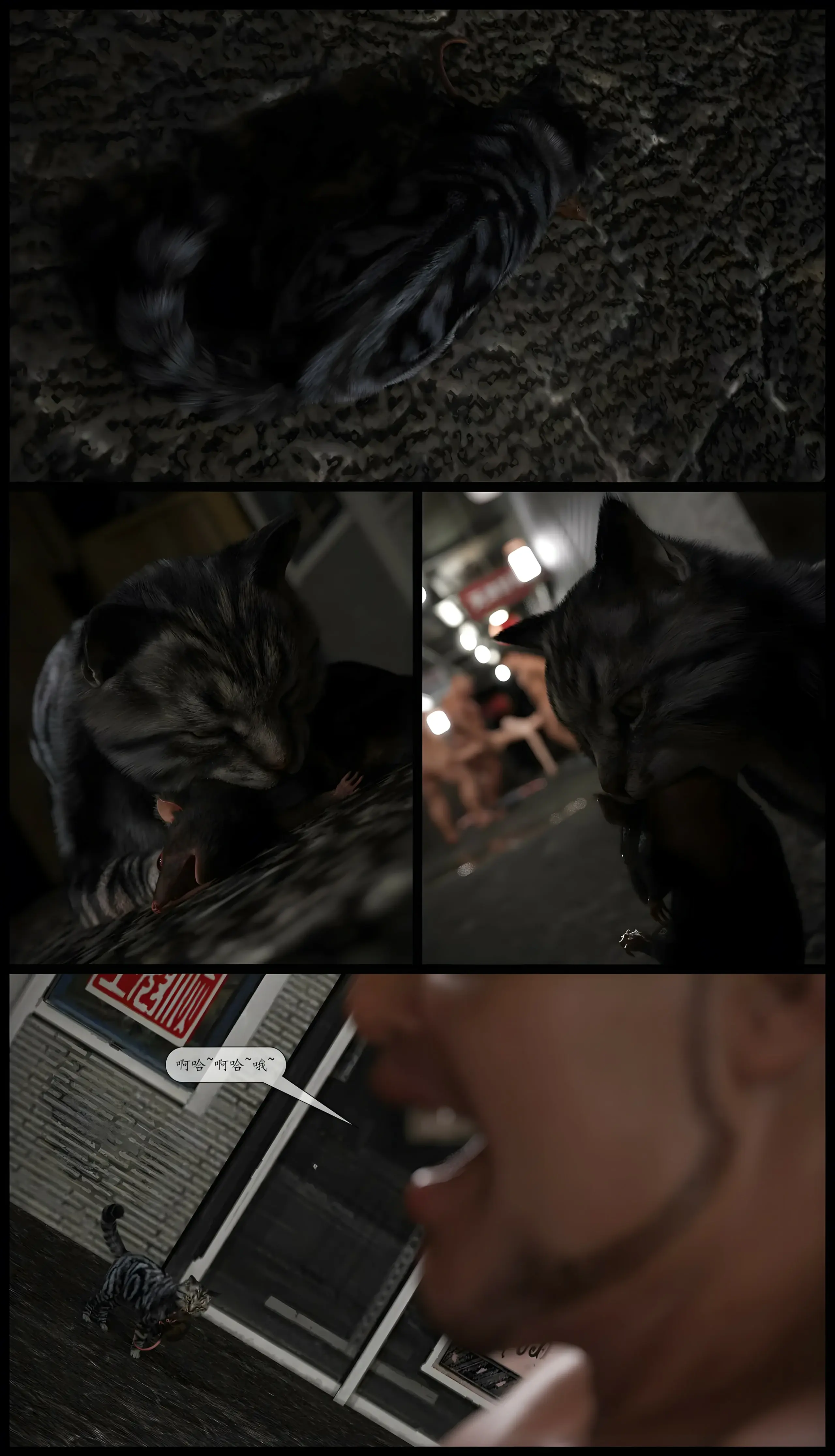 第245页