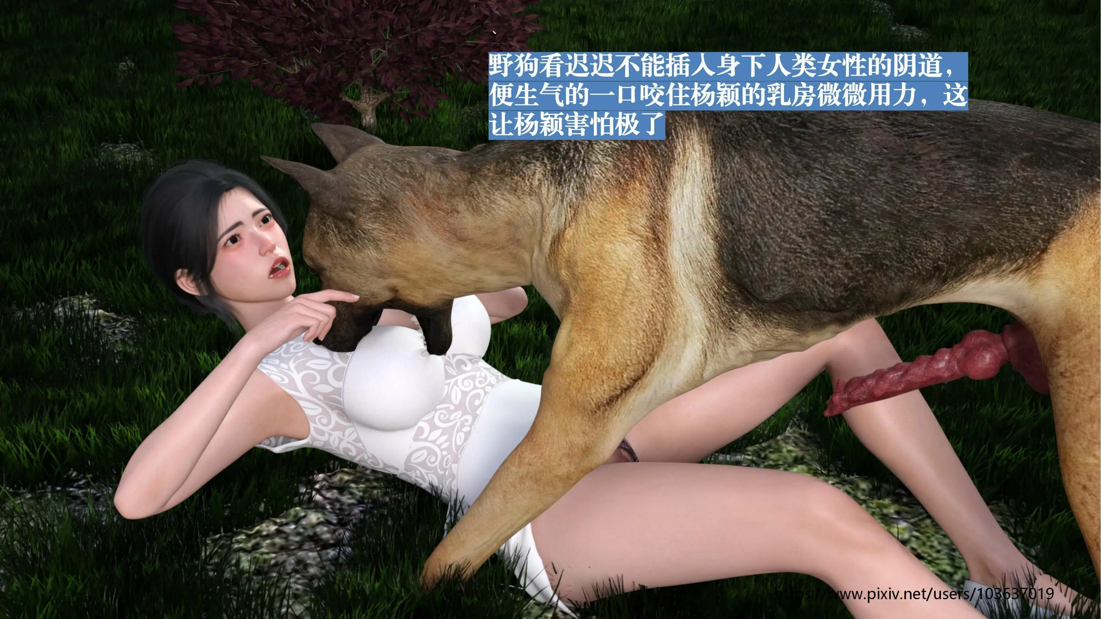 第55页