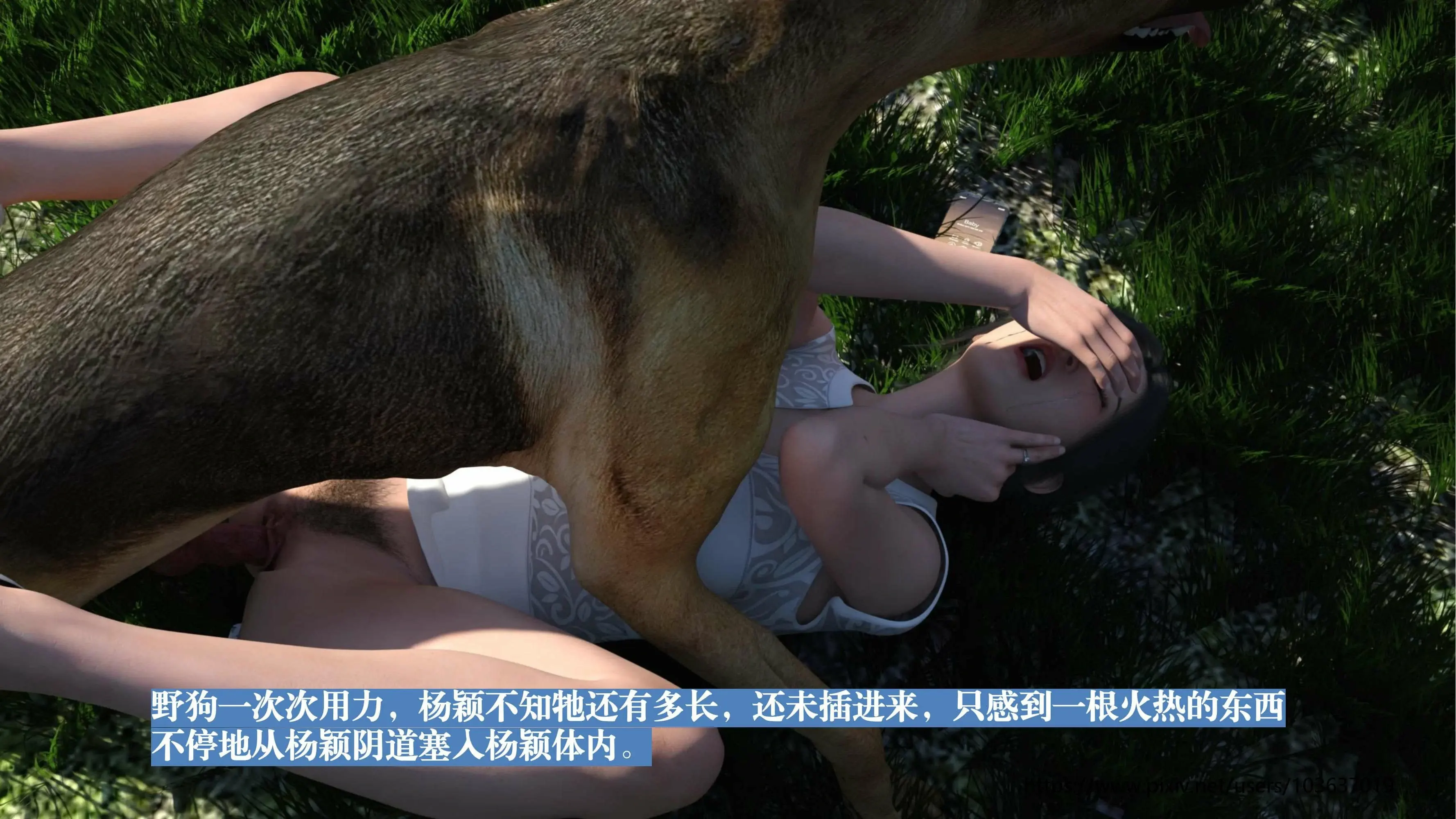 第81页