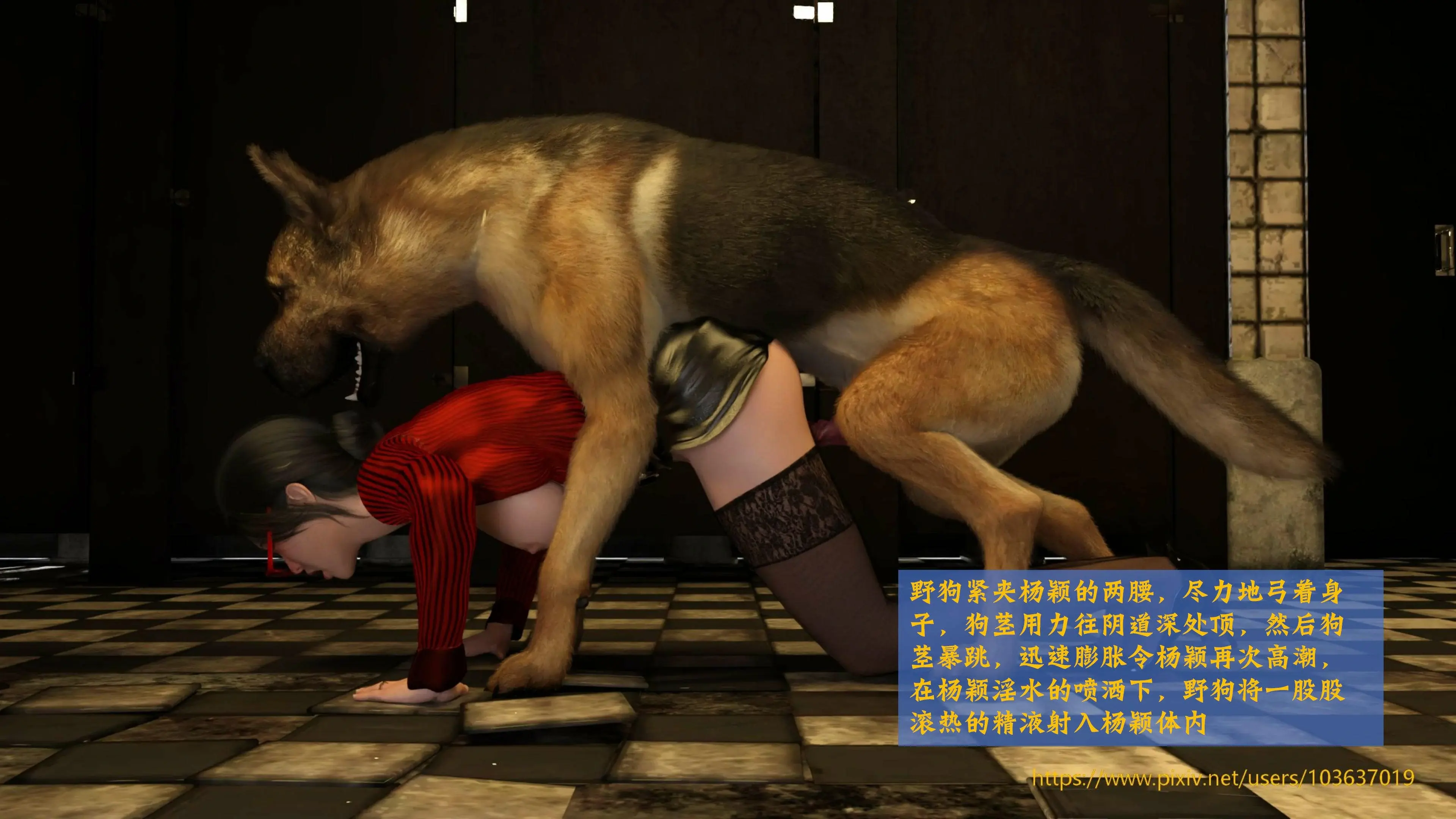 第62页