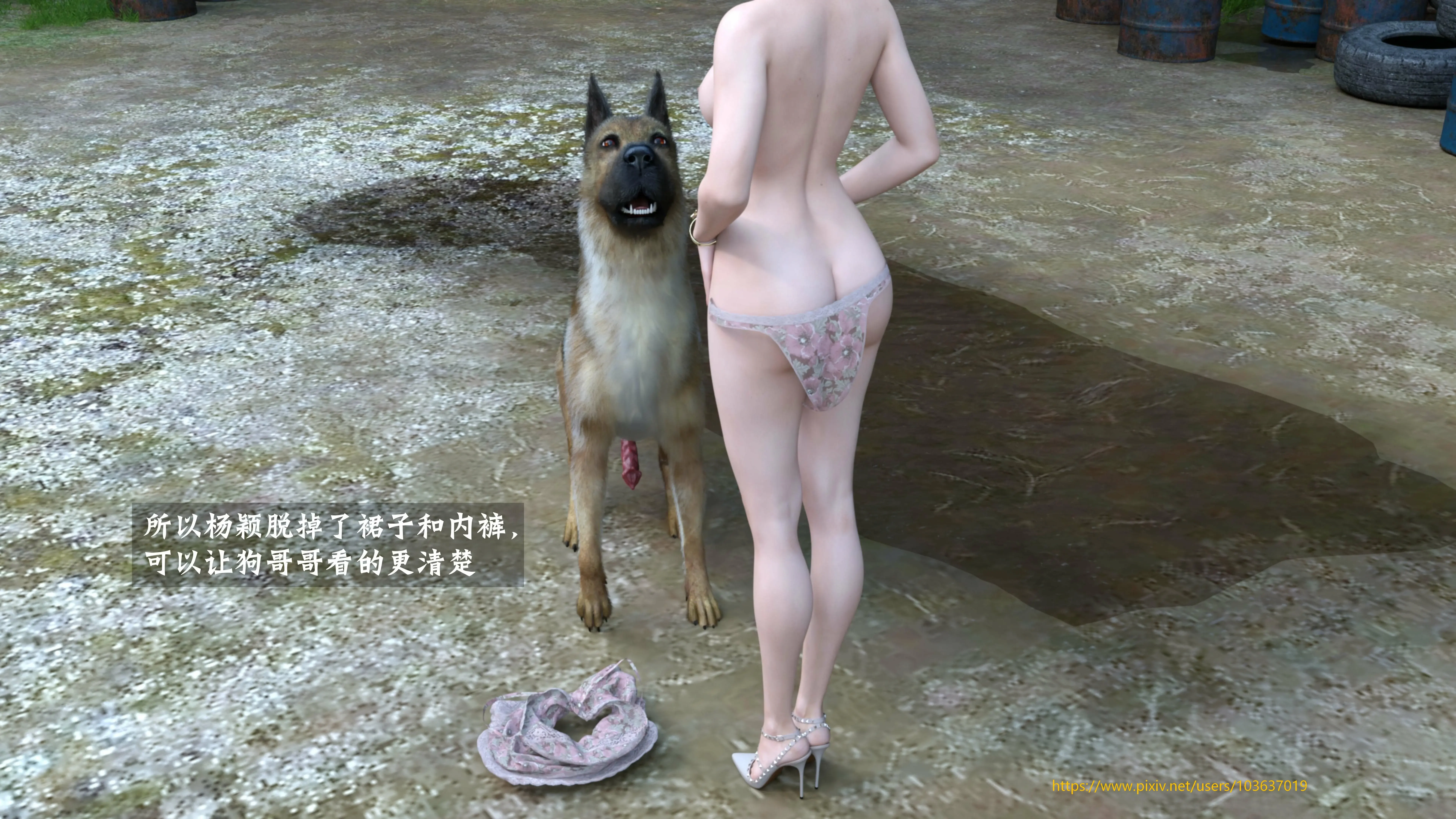 第41页