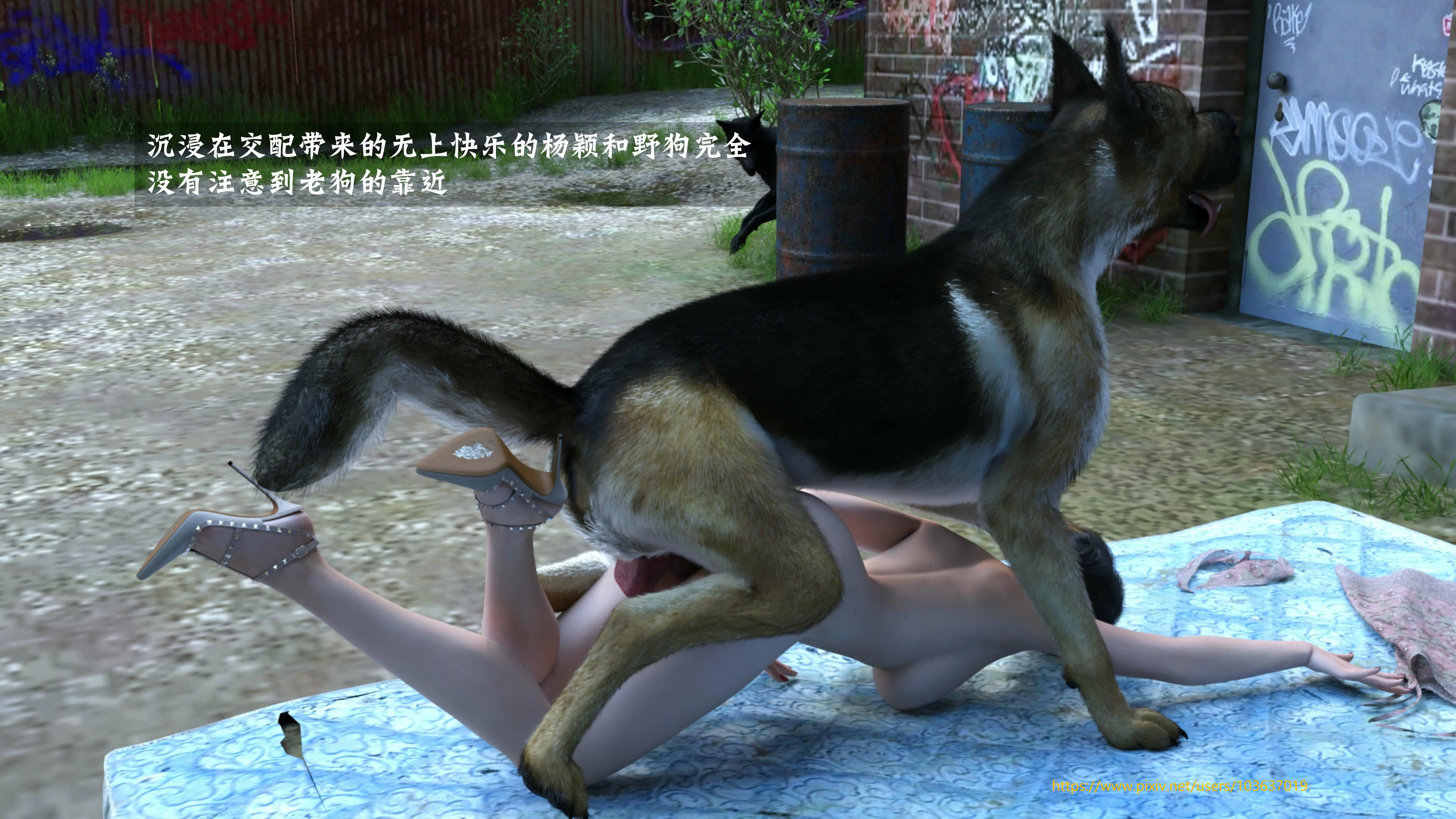 第66页