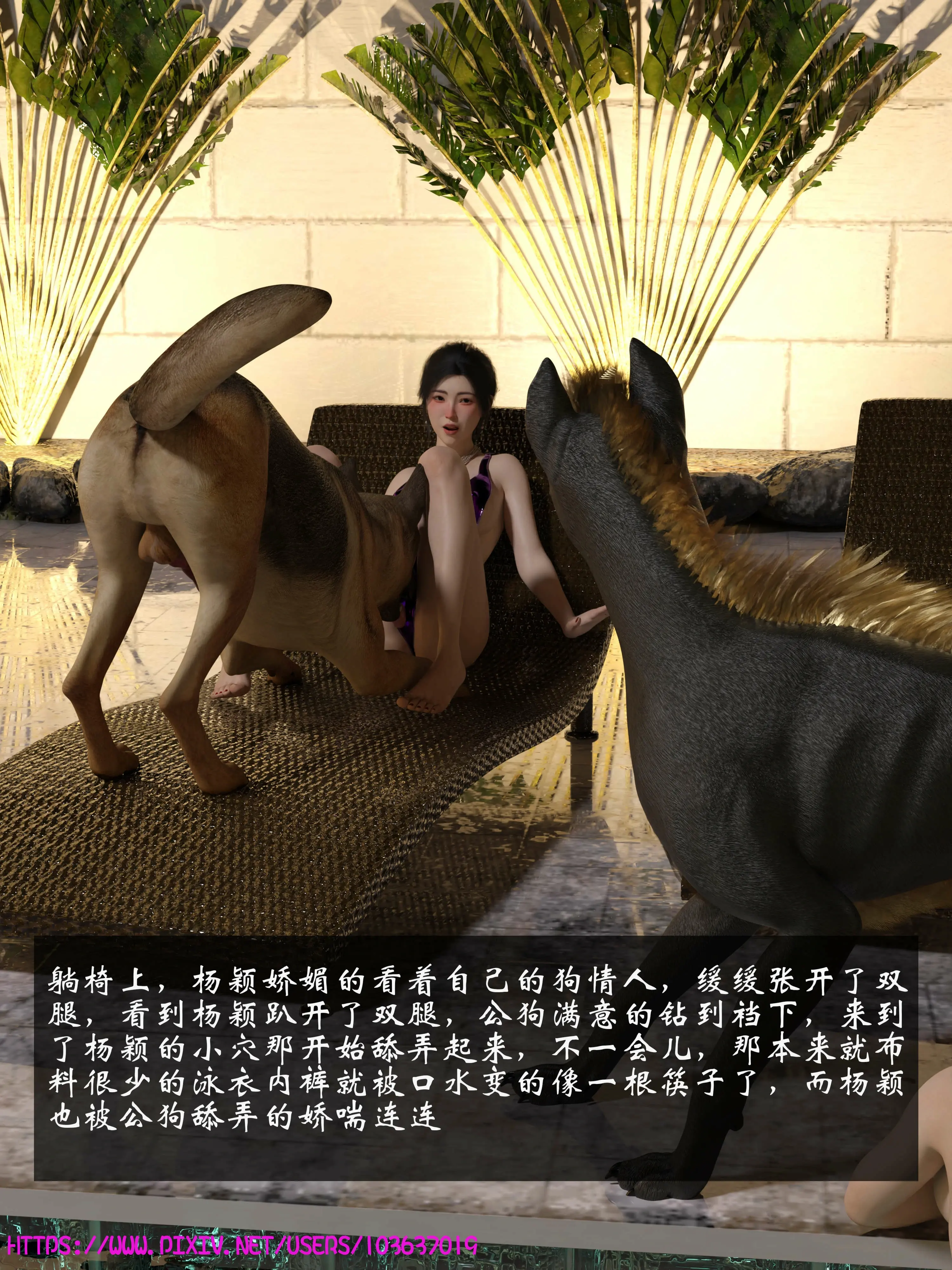 第62页