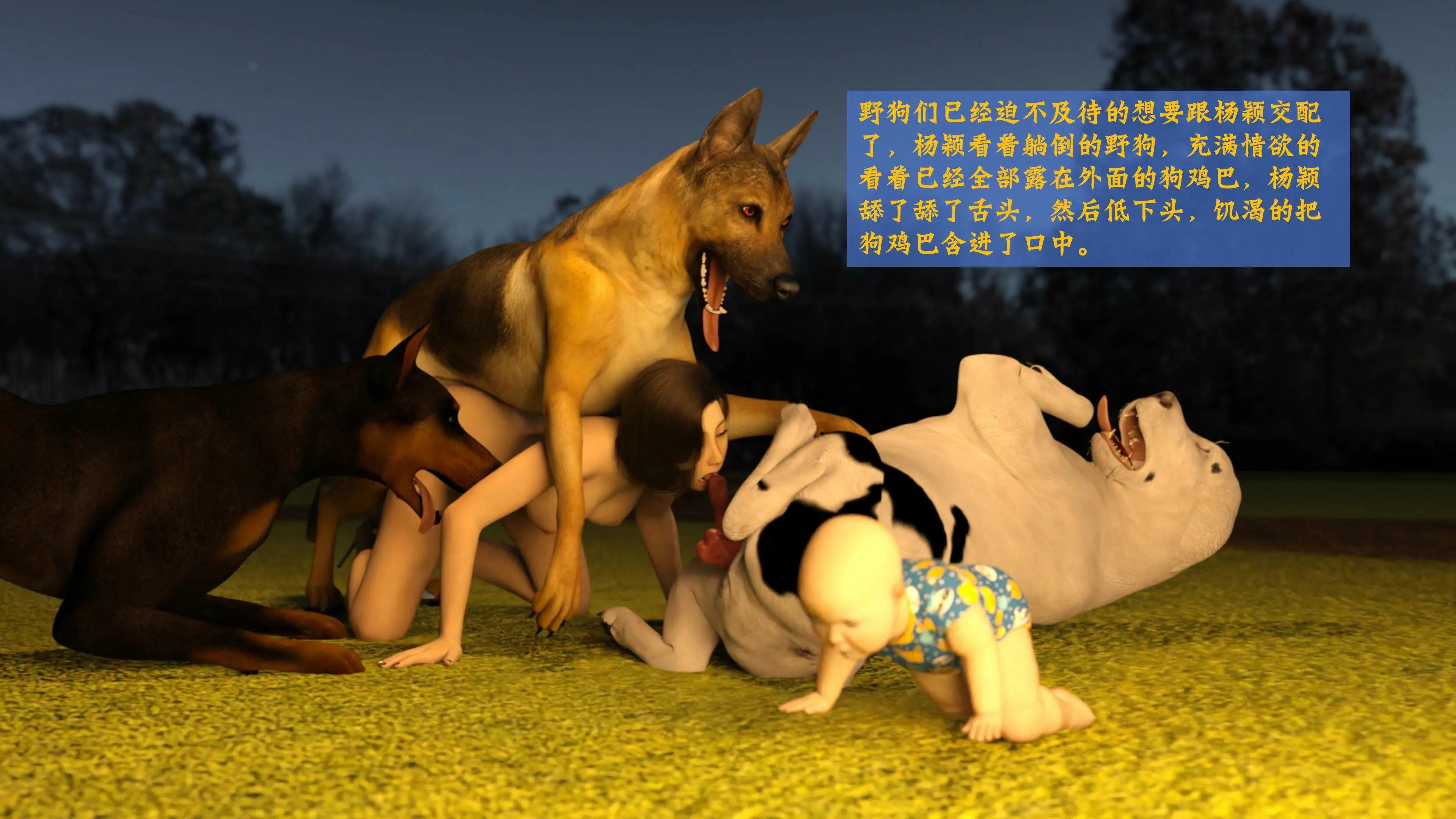 第13页