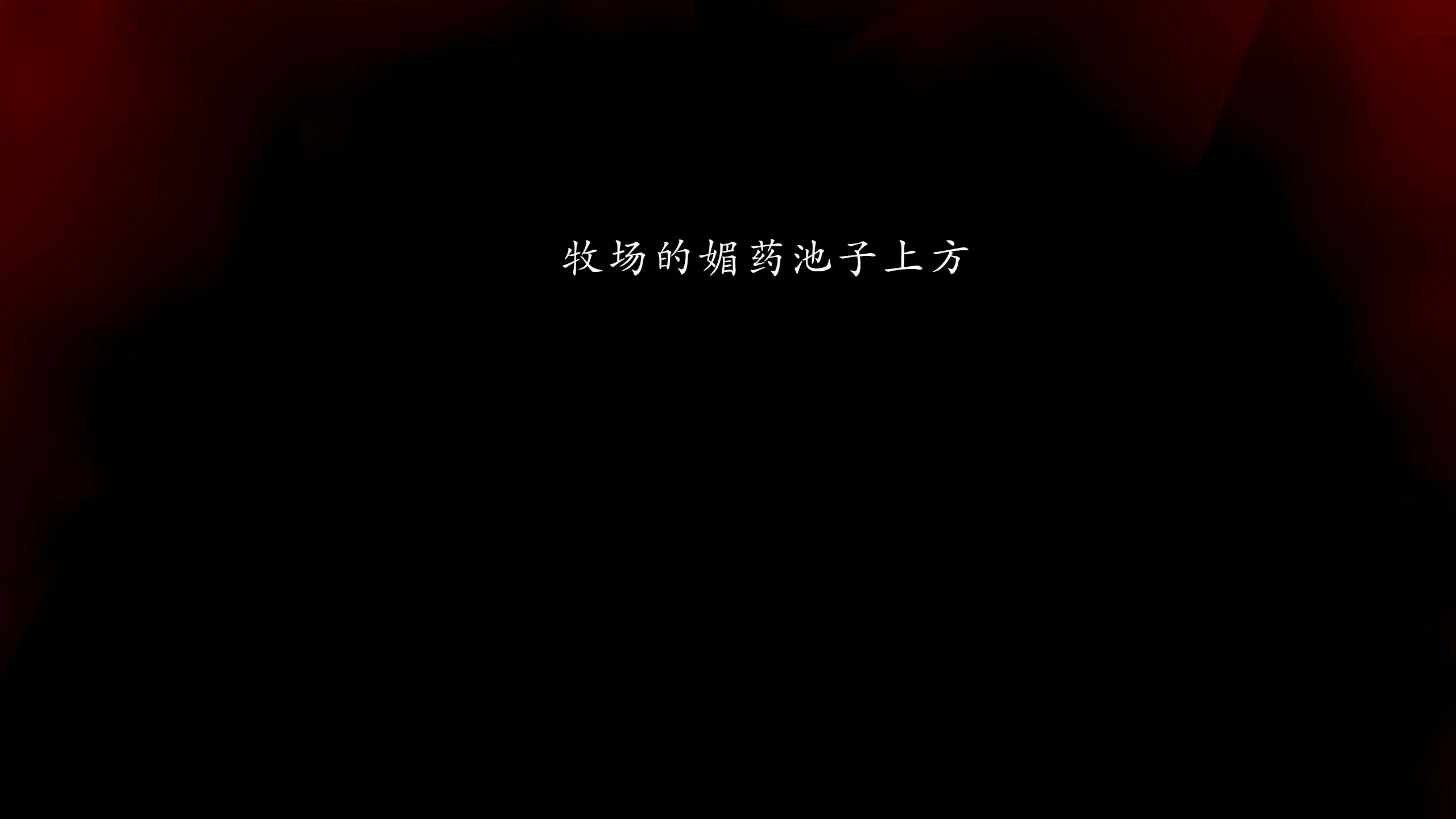 第204页