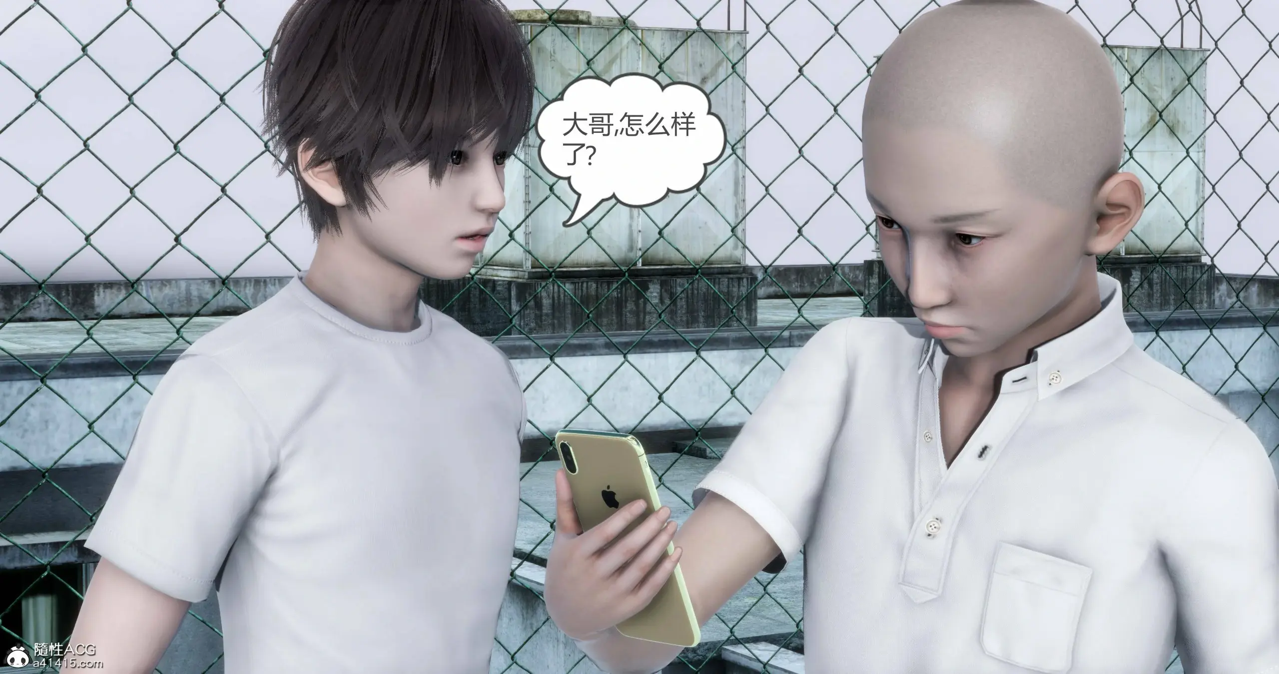 第3页