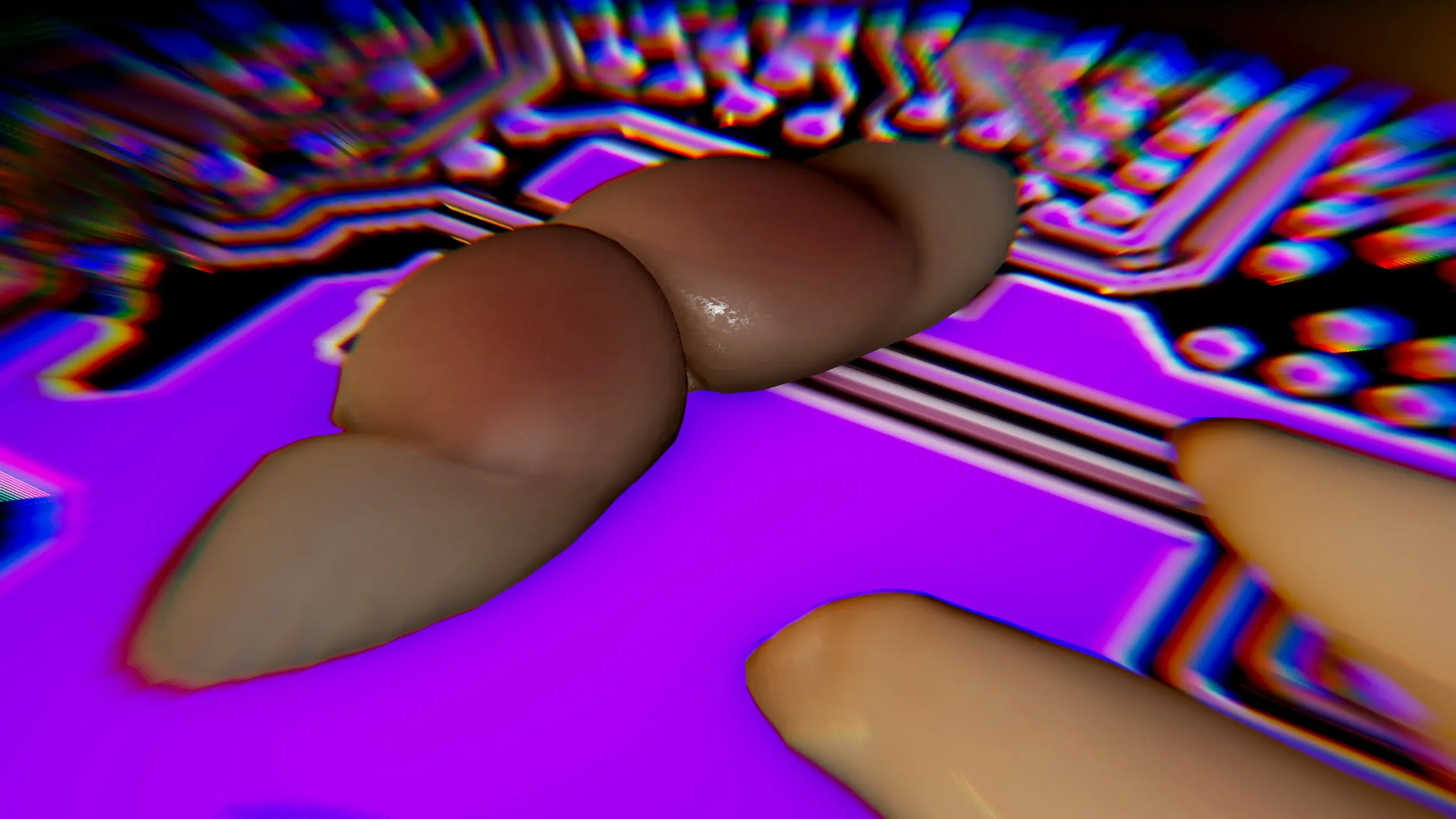 第204页