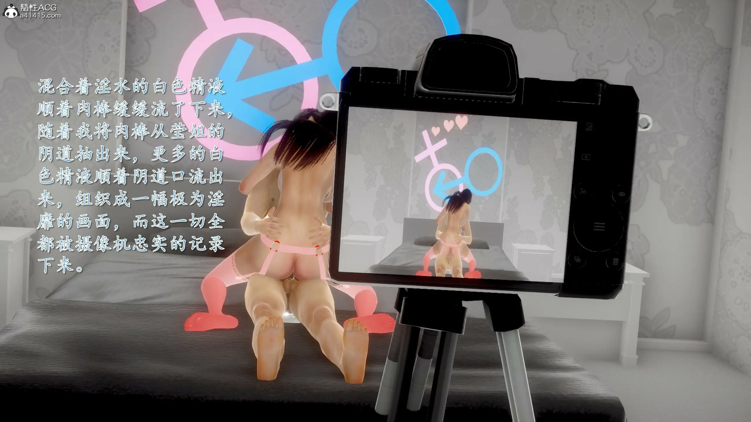 第338页