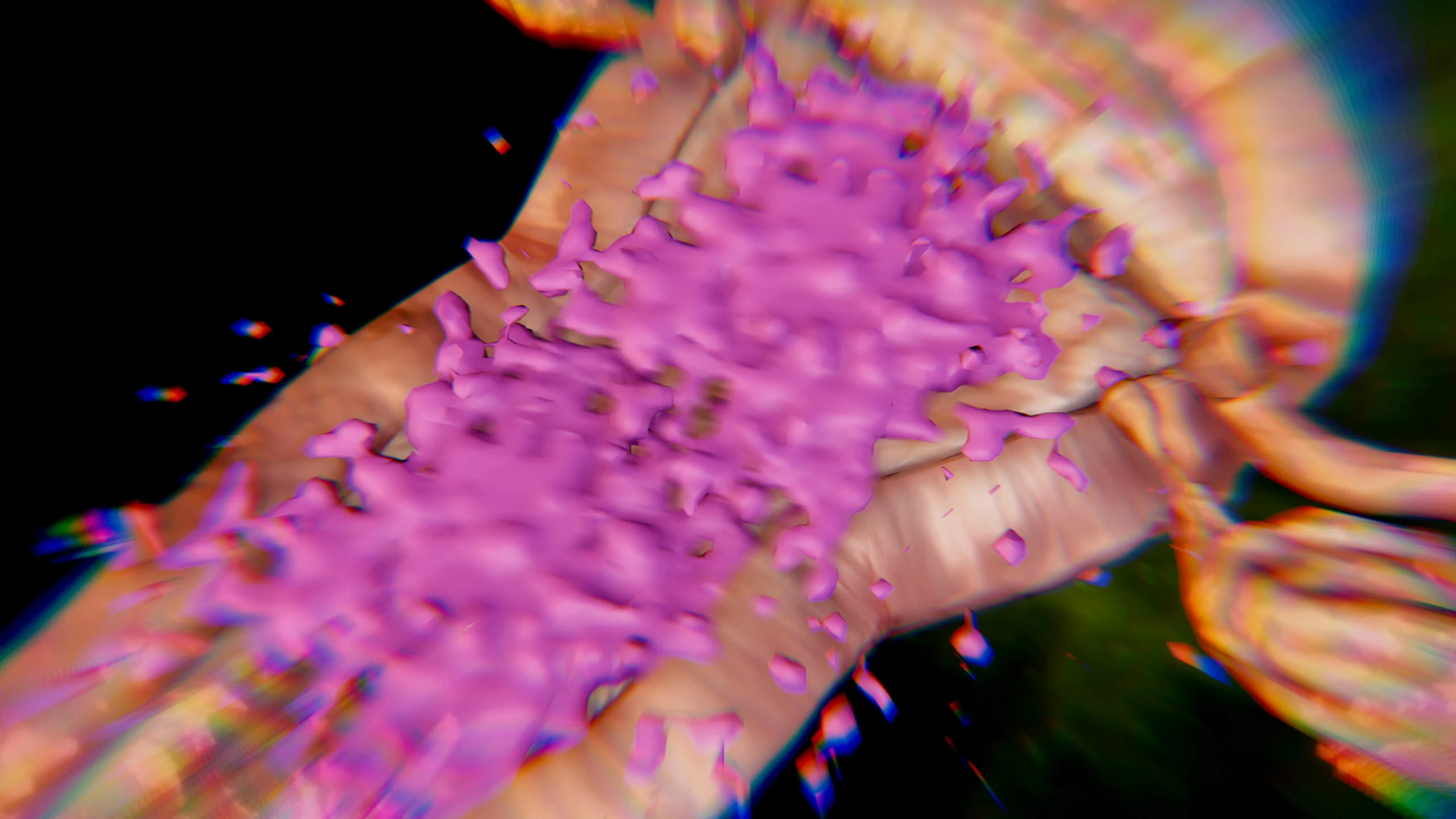 第215页