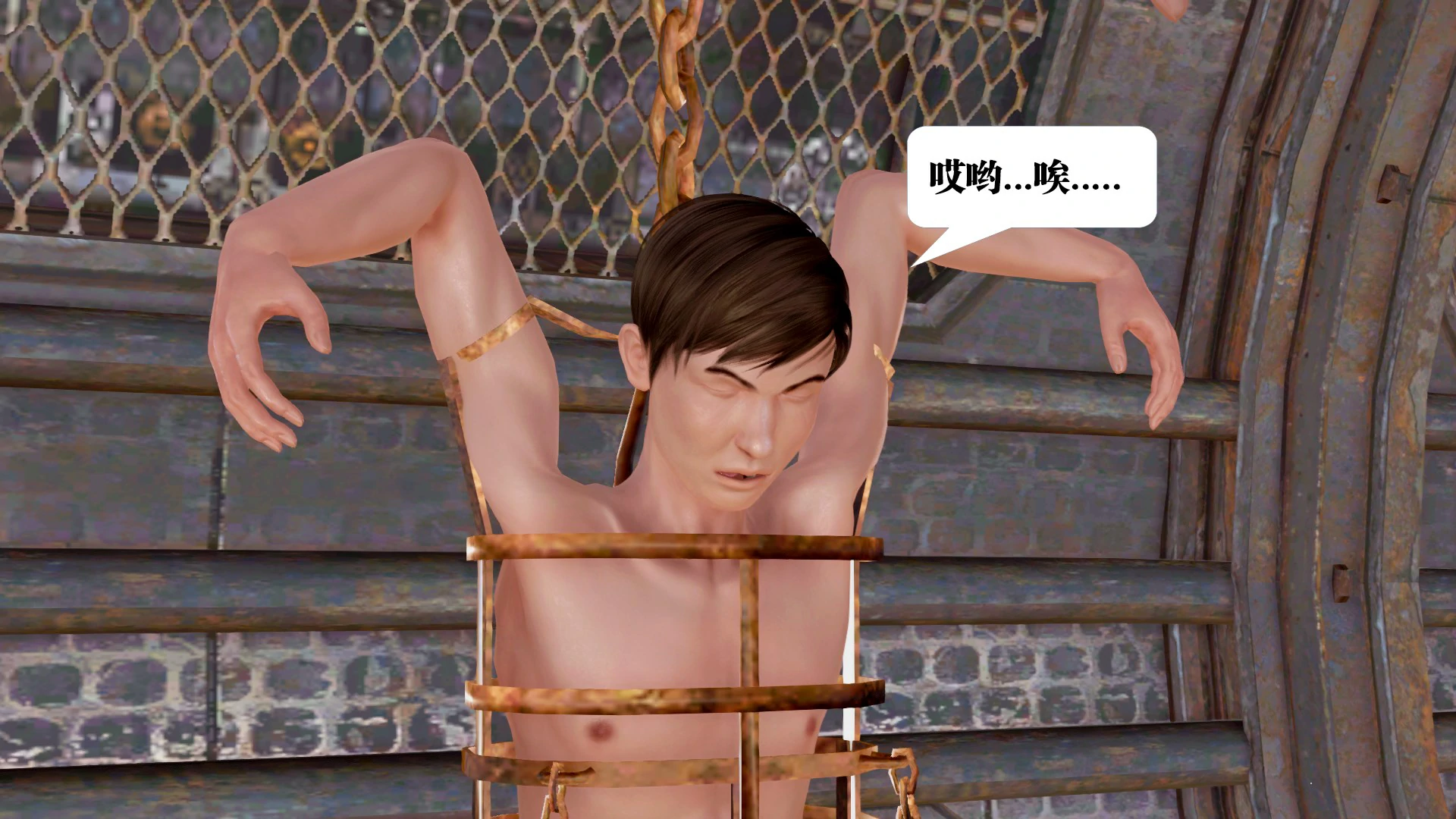 第333页
