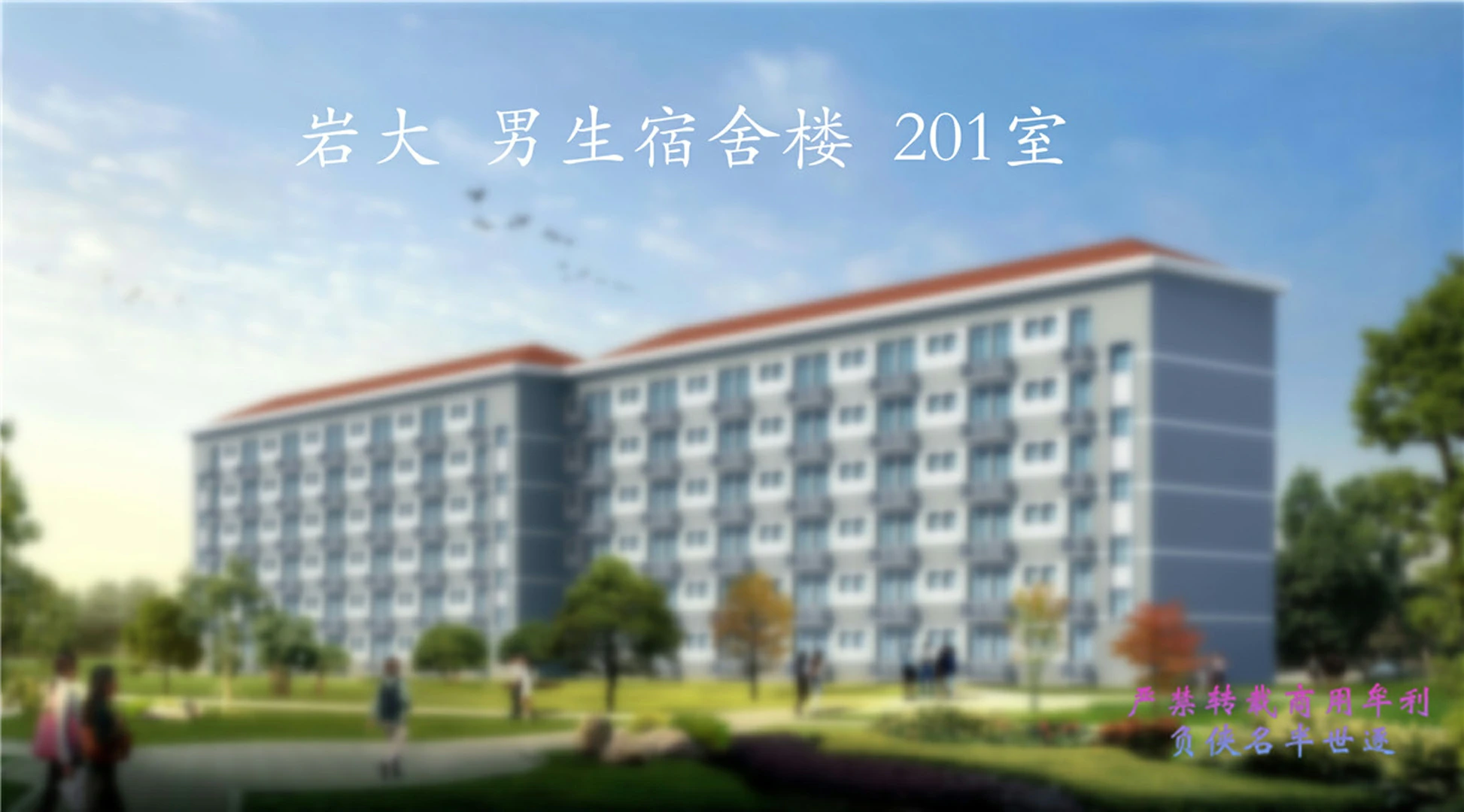 第252页