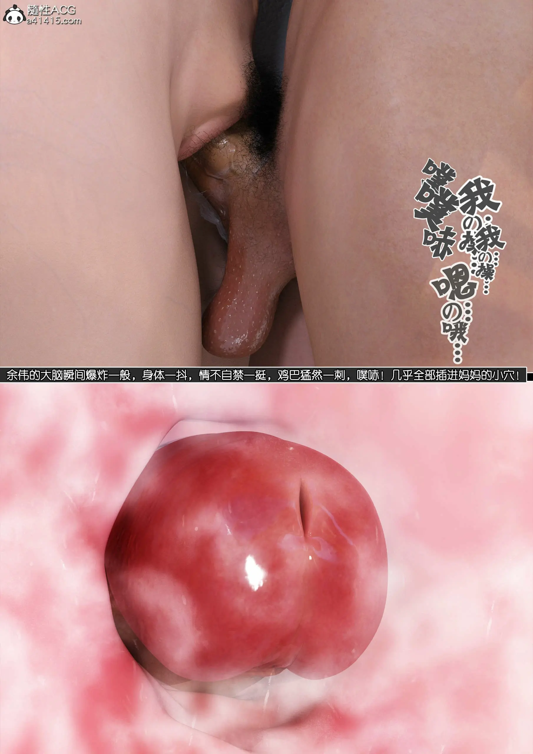 第113页