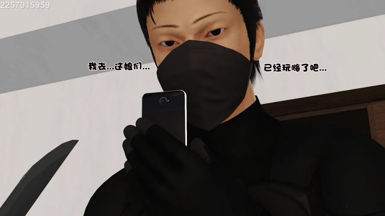 第333页