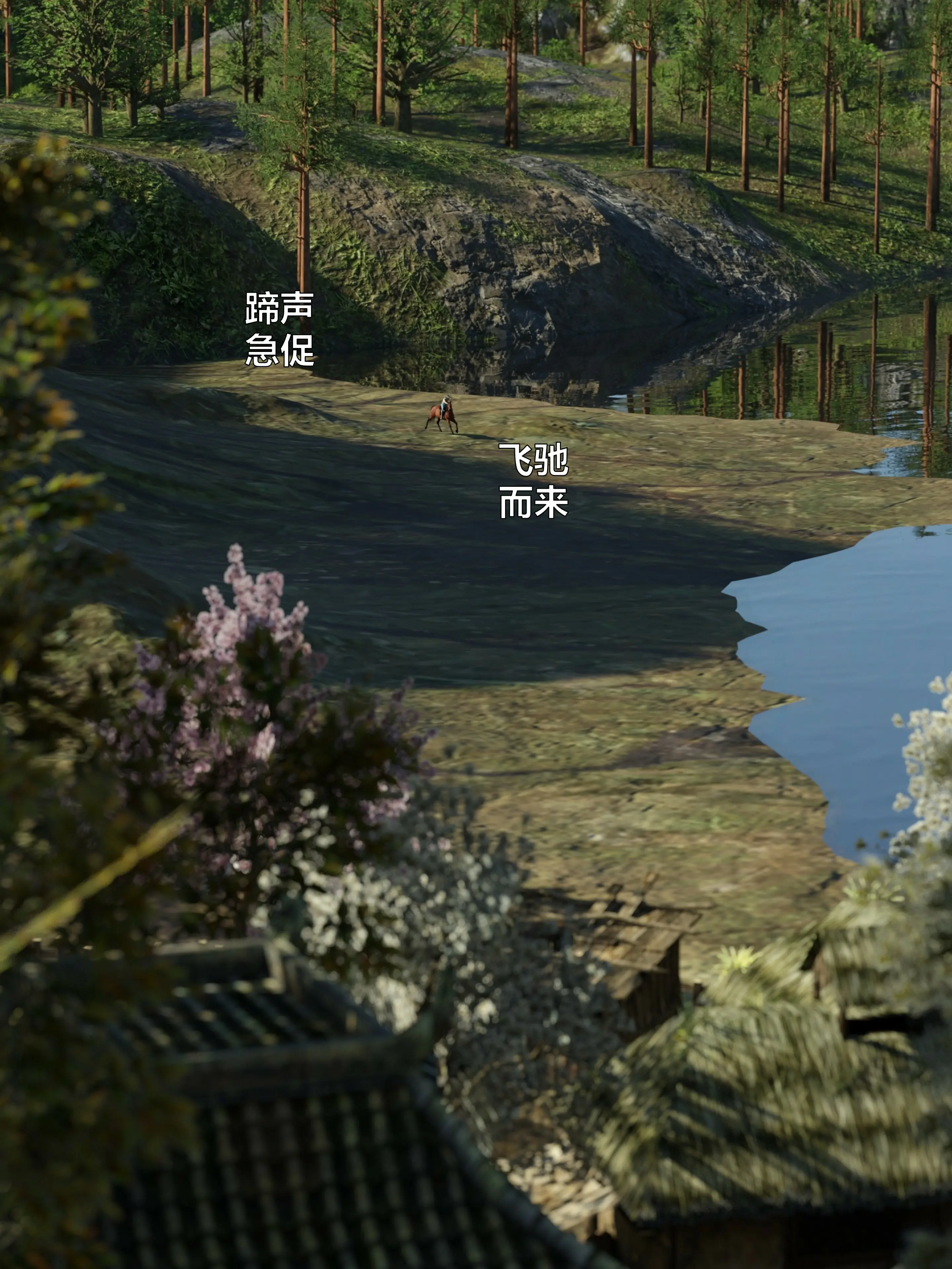 第239页