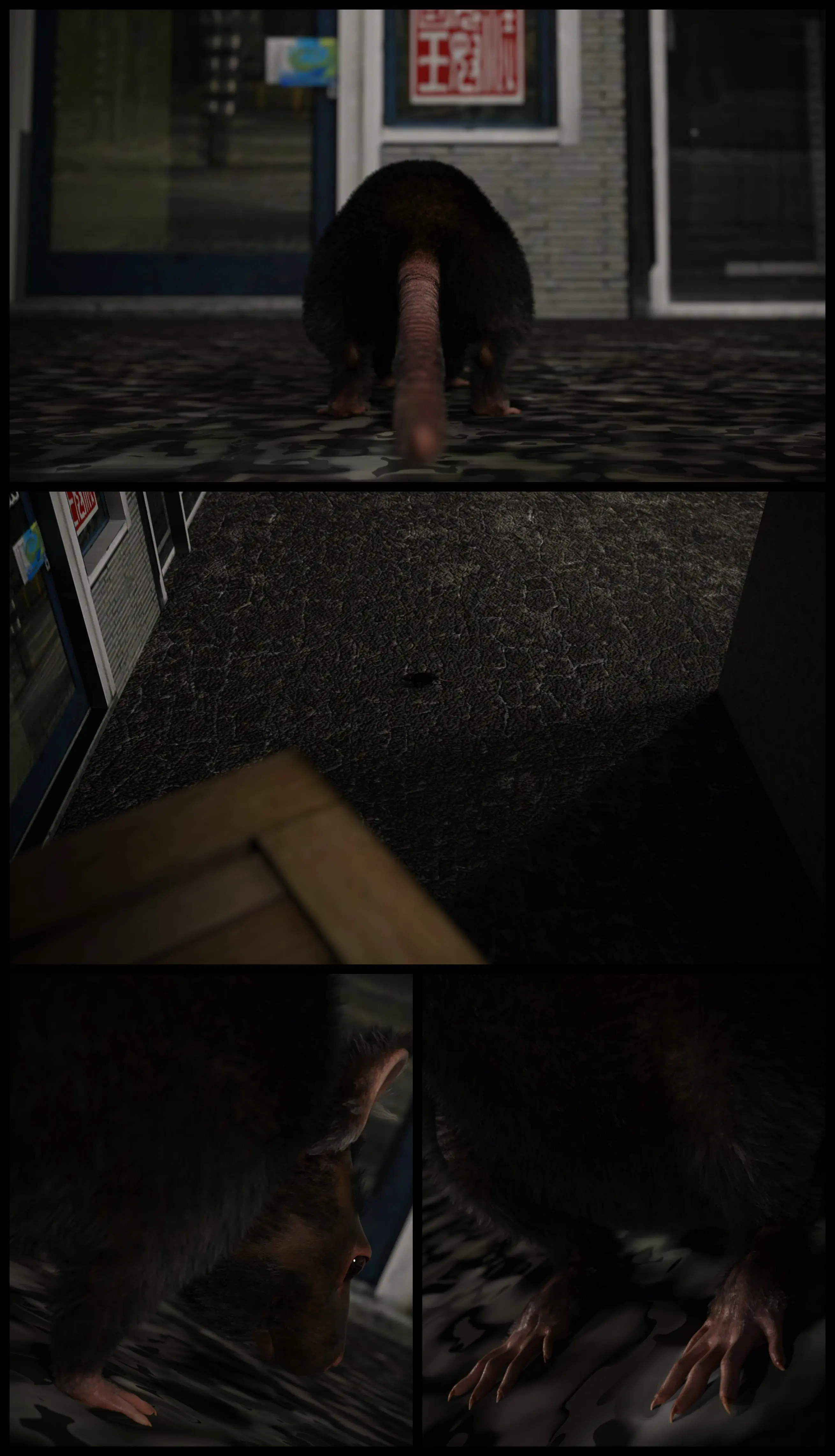 第243页