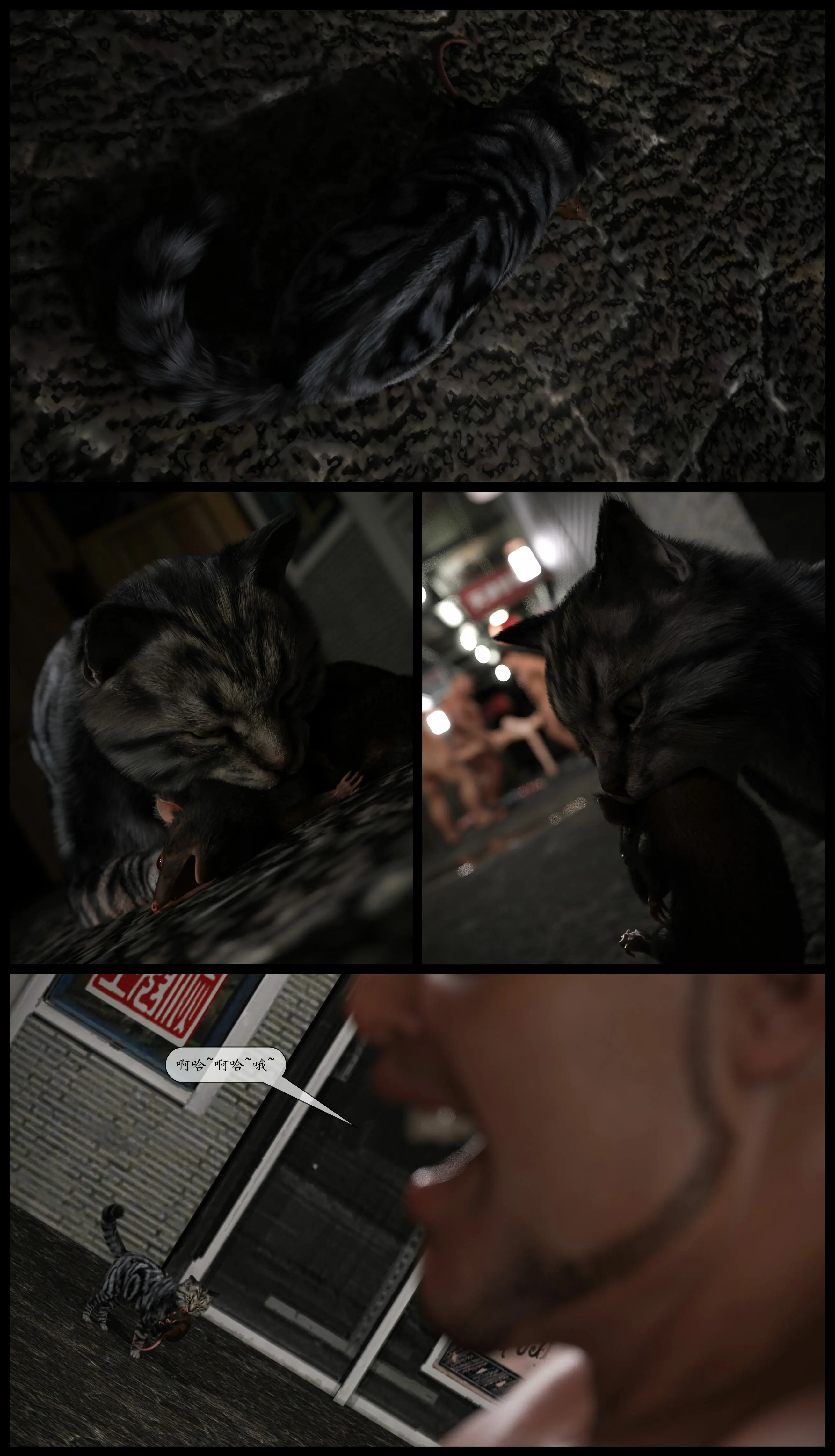 第245页