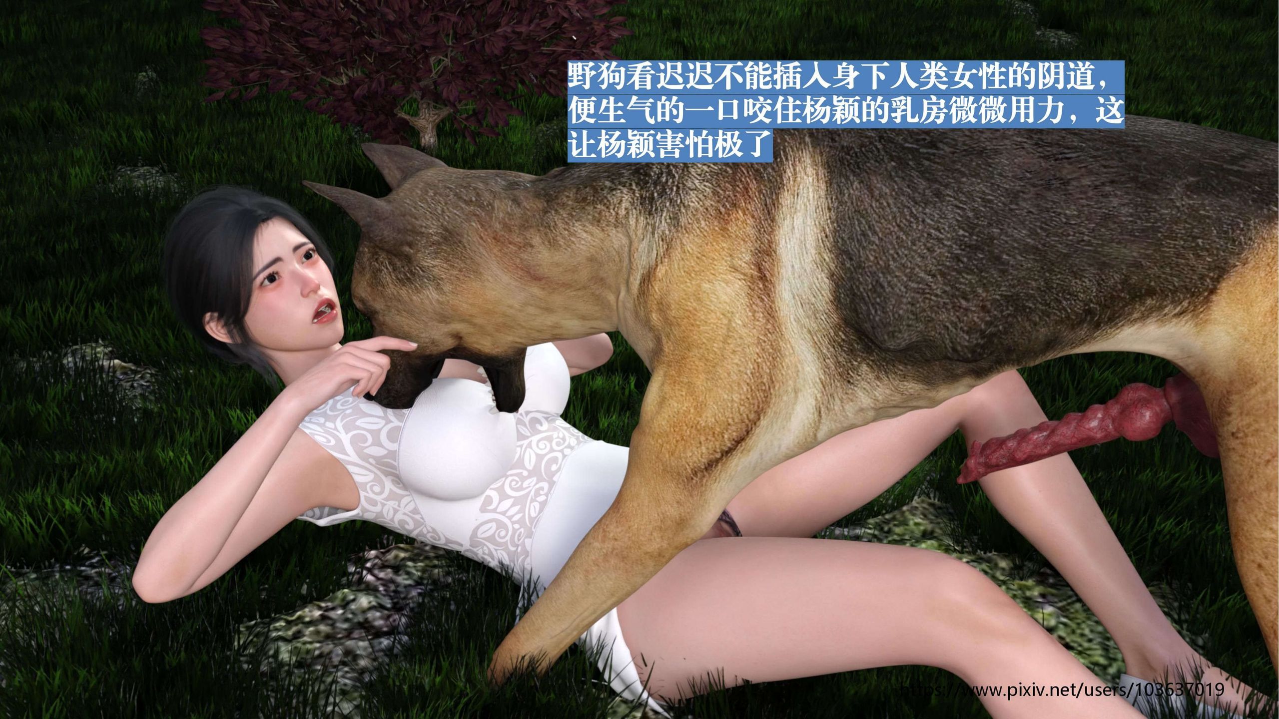 第55页