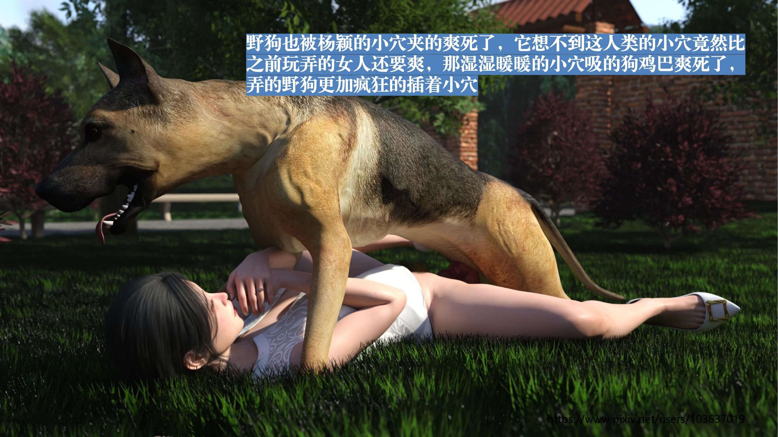 第86页