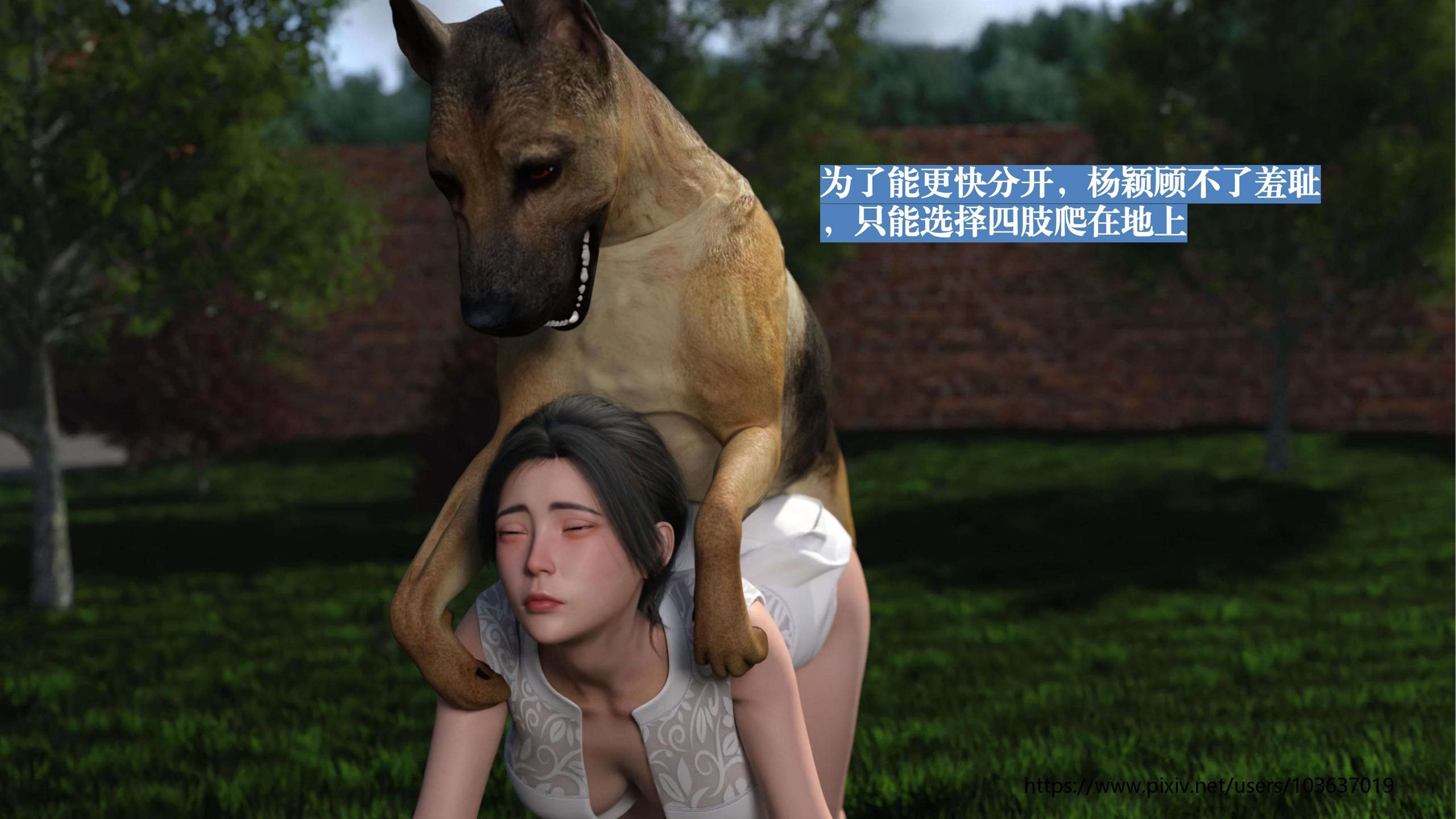 第102页