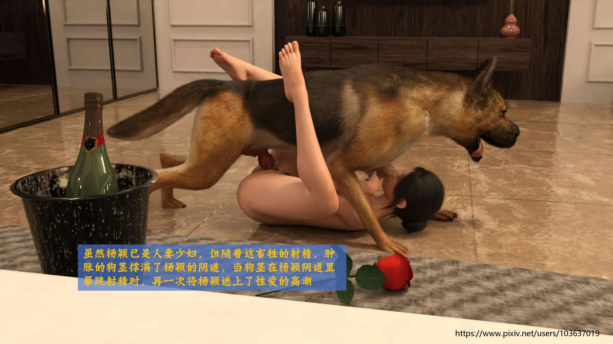 第68页