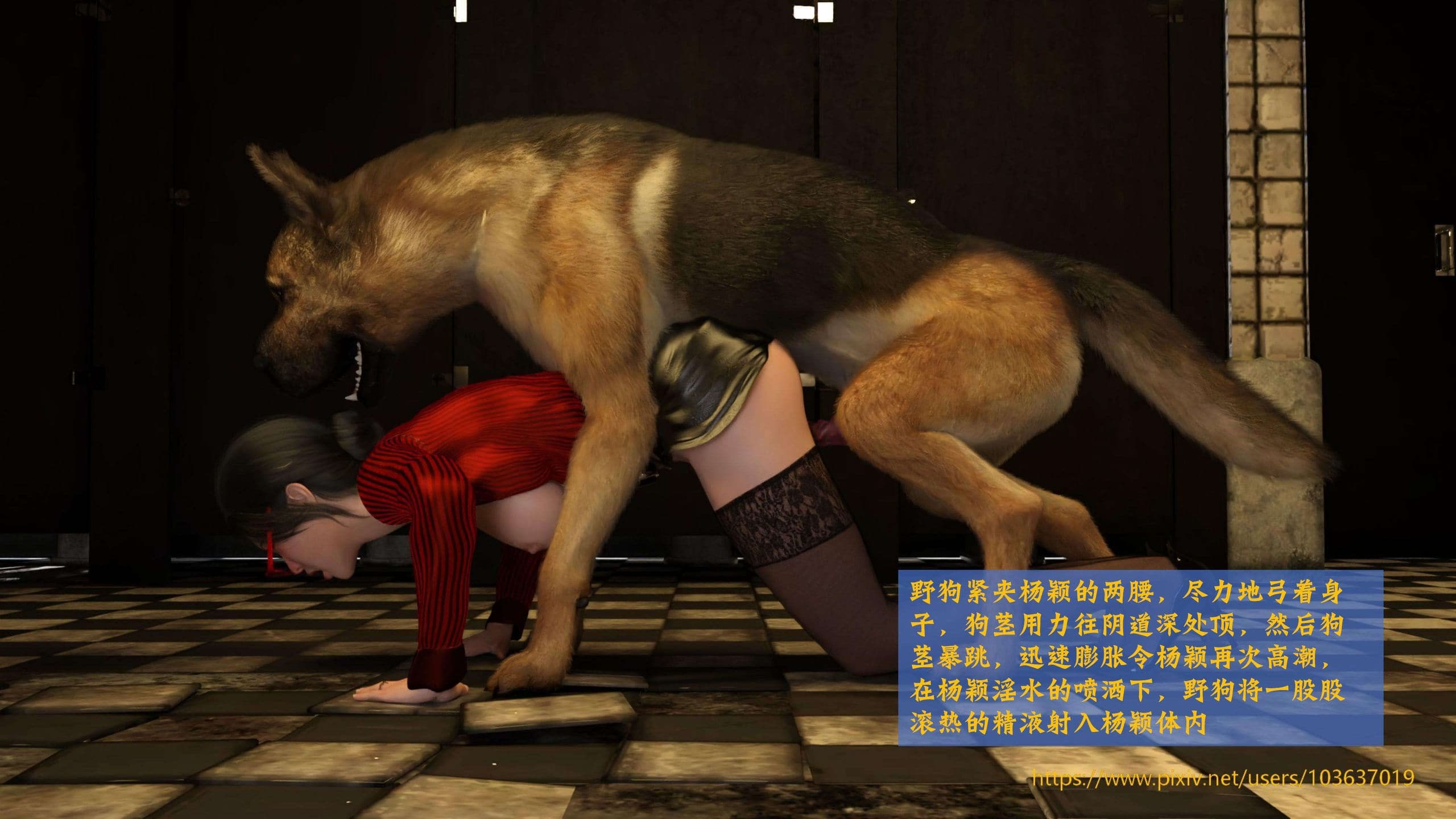 第62页