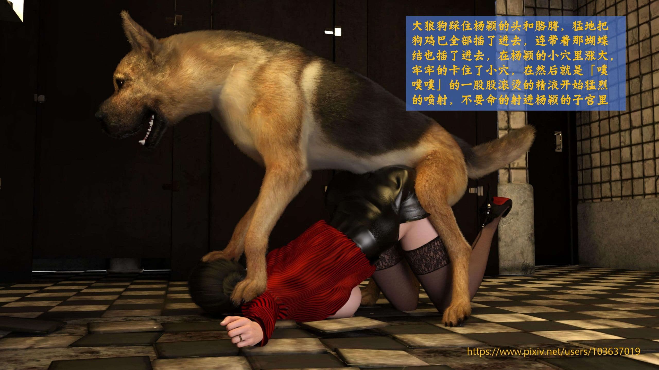 第64页