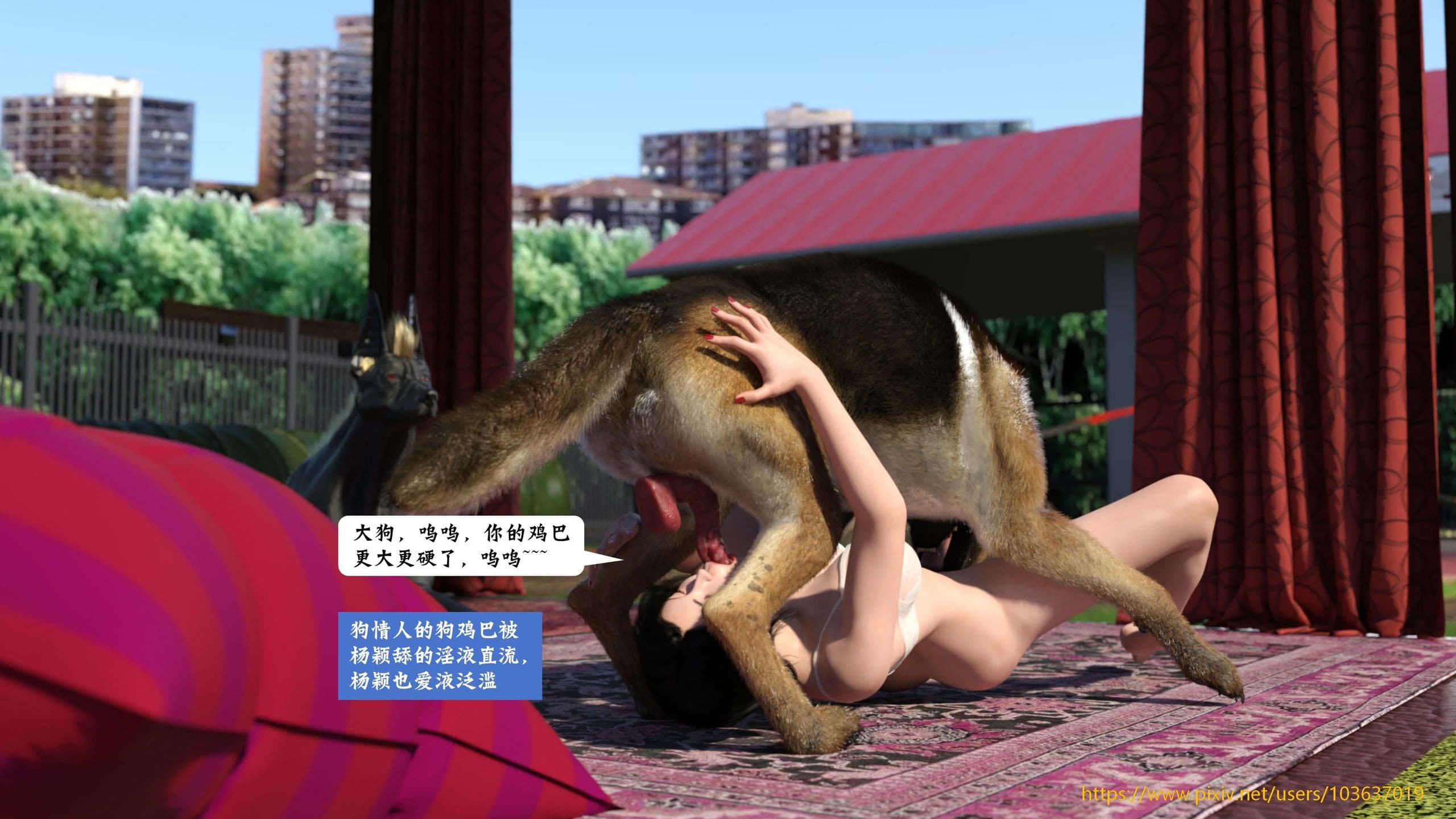 第43页