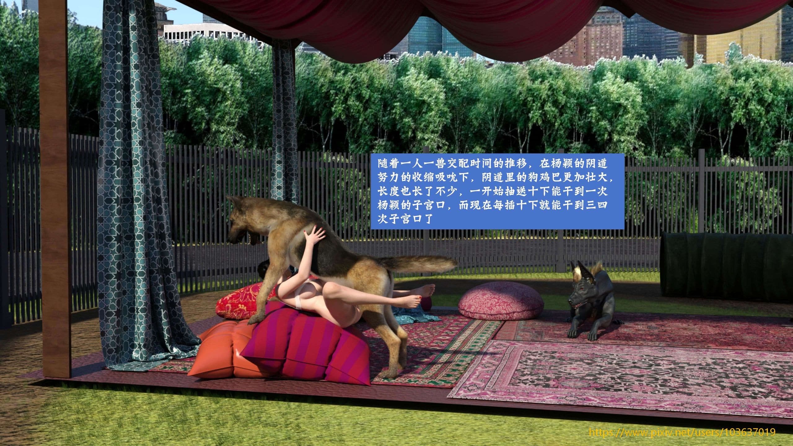 第55页
