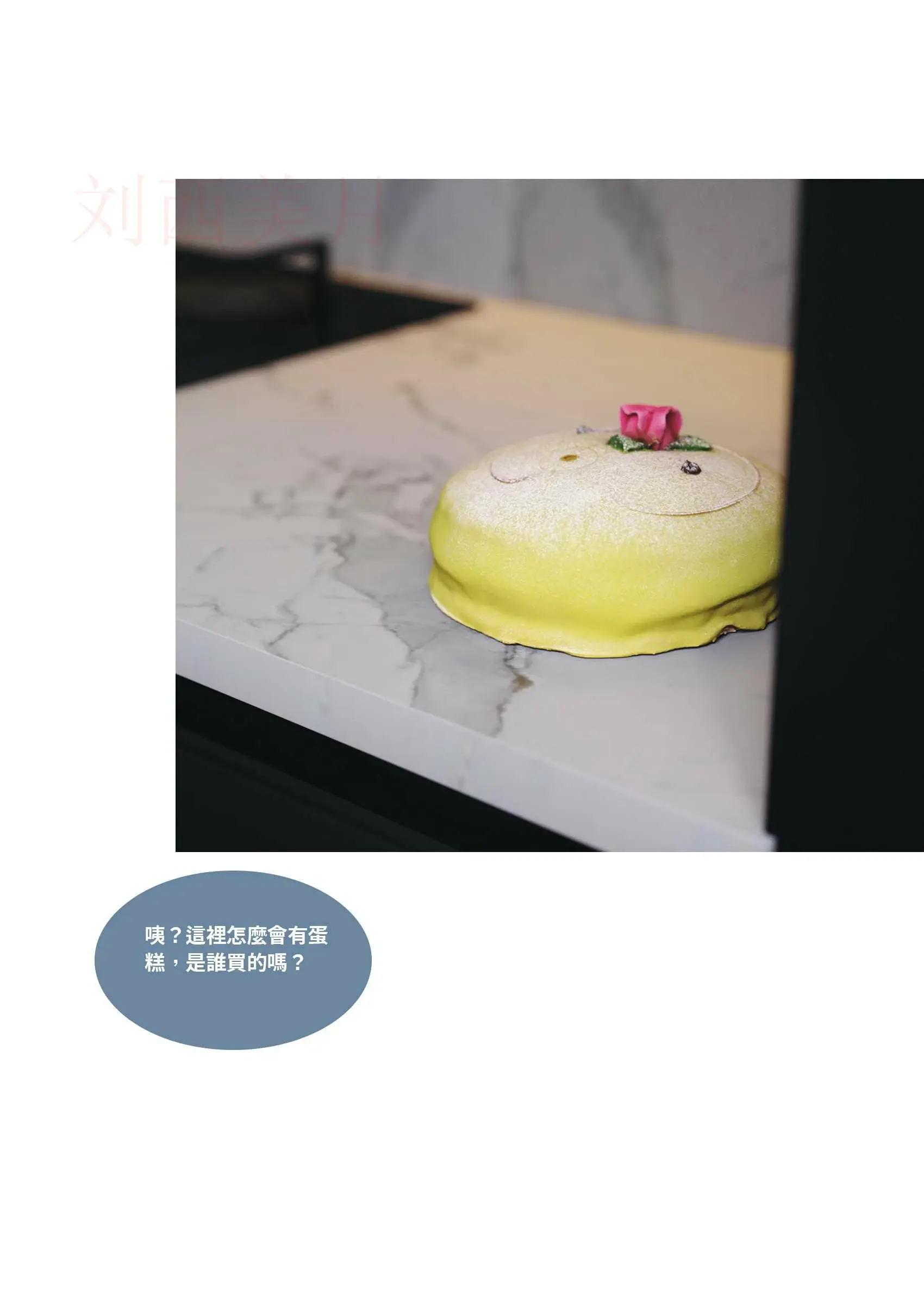 第204页