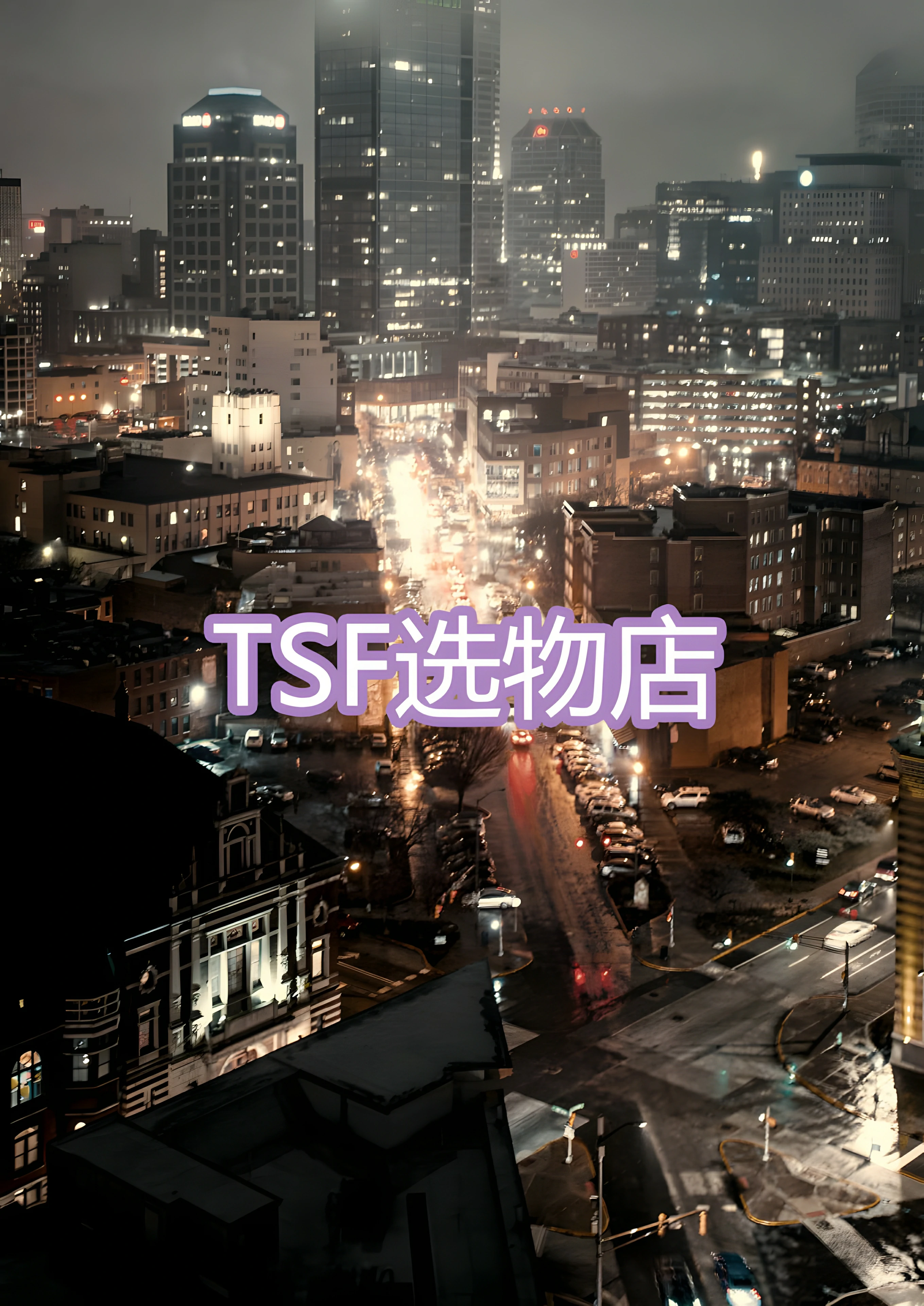 TSF选物店